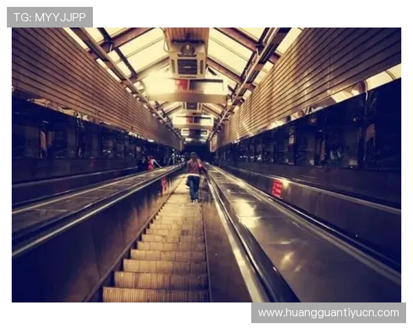 皇冠备用平台有哪些适合新手用户的操作指南与使用技巧