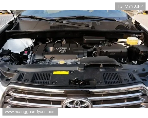 皇冠官网网页版登录流程详解，确保每位用户都能轻松安全登录皇冠官网平台