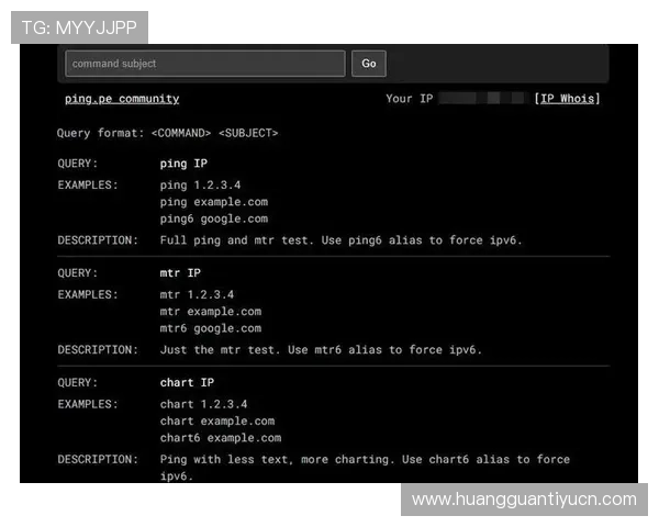 了解手机皇冠登录IP地址的重要性及提升登录安全性的实用建议