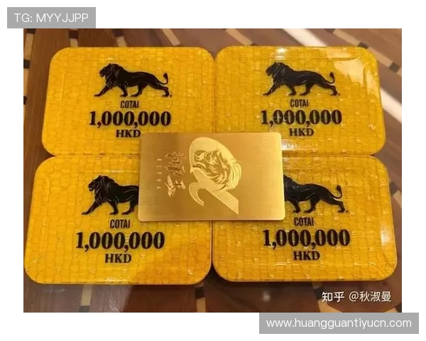 澳门六大赌牌背后的经营规则与合规要求确保玩家权益的法律保障